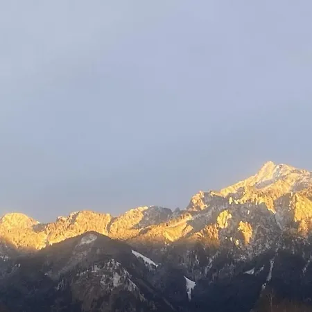 Alpenblick Comfortable *